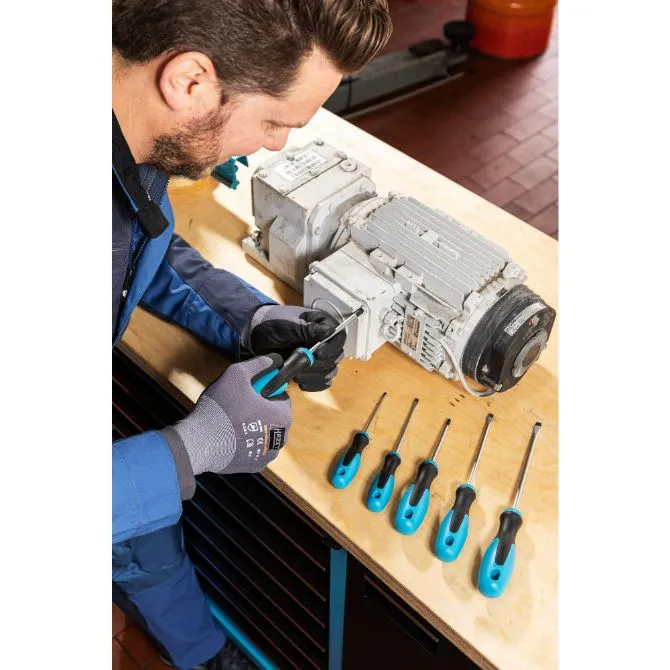 HAZET 810/6 6DELIGE SCHROEVENDRAAIERSET  PH1PH2