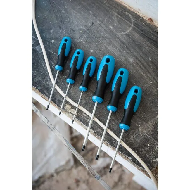 HAZET 810T/6 6DELIGE SCHROEVENDRAAIERSET  TORX  T10T30